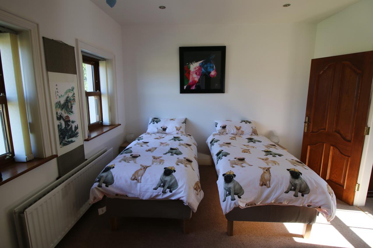 Feetnpaws Bed & Breakfast Portaferry Eksteriør bilde