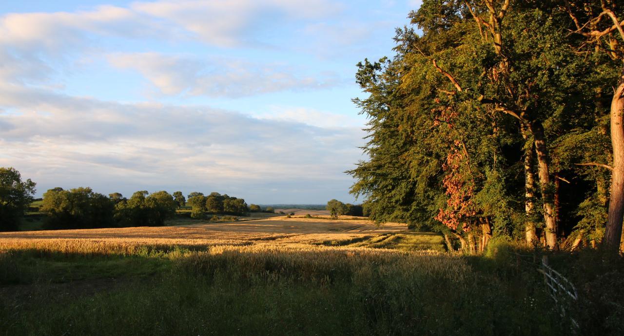 Feetnpaws Bed & Breakfast Portaferry Eksteriør bilde