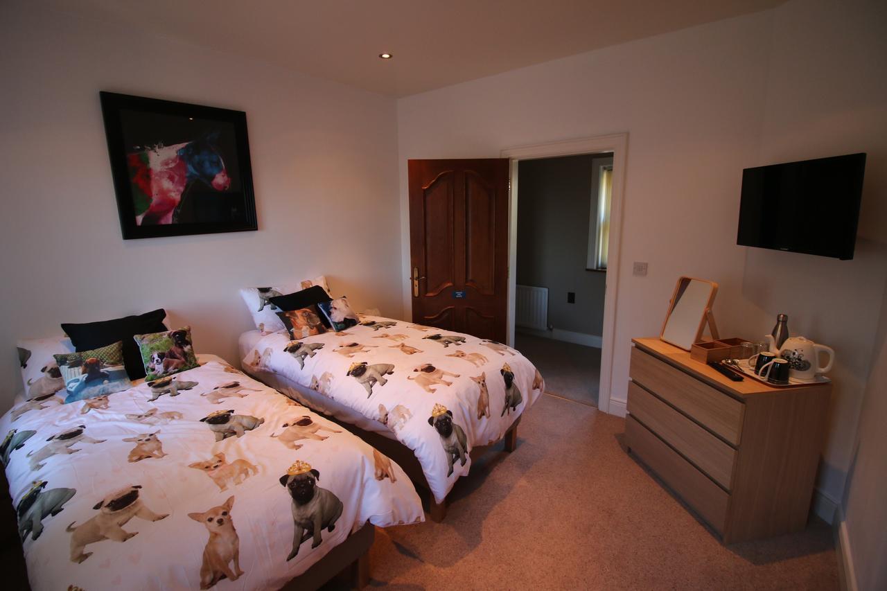 Feetnpaws Bed & Breakfast Portaferry Eksteriør bilde